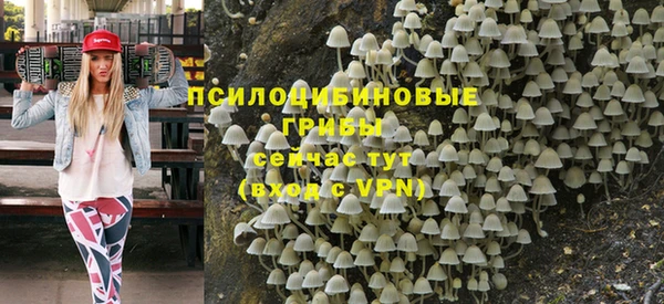 соль ск Ростов
