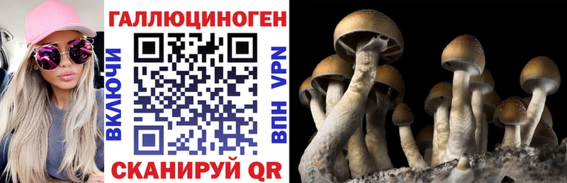 darknet Telegram  где можно купить наркотик  Аргун  Галлюциногенные грибы мухоморы 