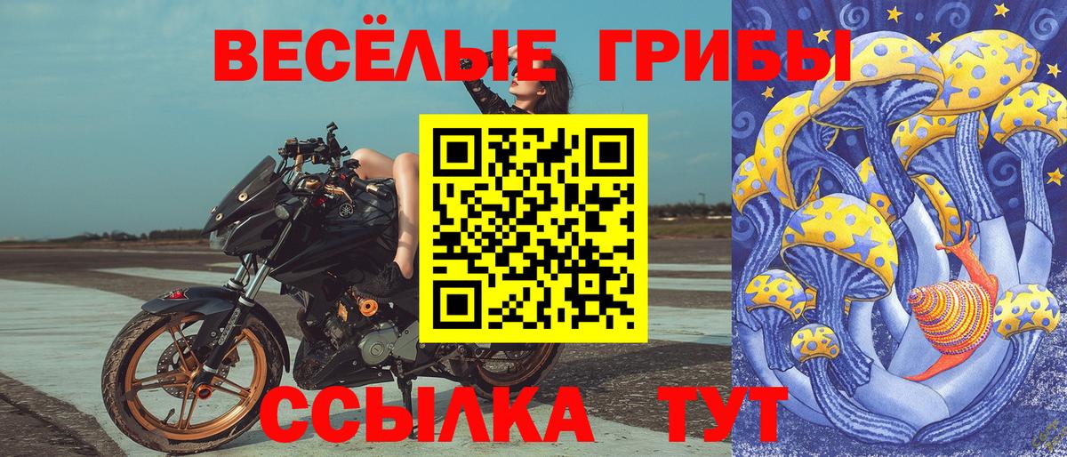 Псилоцибиновые грибы Magic Shrooms Аргун