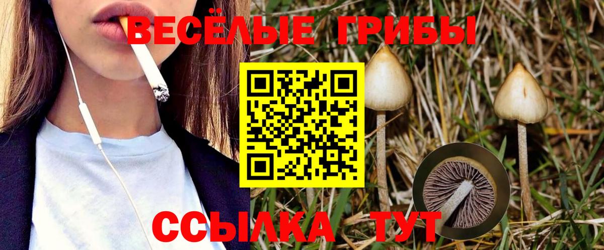 Псилоцибиновые грибы GOLDEN TEACHER Аргун