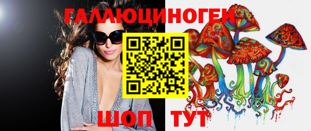 Аргун  Псилоцибиновые грибы Psilocybe  Вход с VPN  Псилоцибиновые грибы MAGIC MUSHROOMS 